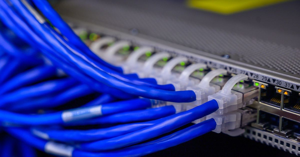 Blauwe netwerkkabels die in een switch zijn aangesloten