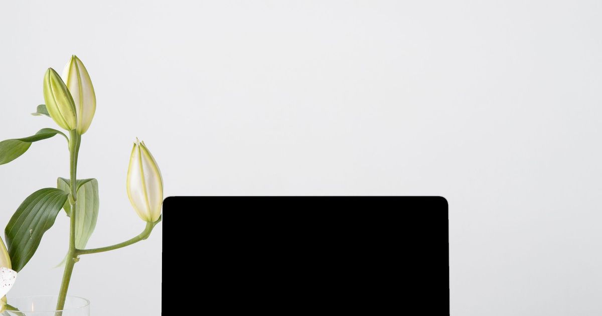 Laptop op een wit bureau tegen een witte muur, met een tak bloemen ernaast
